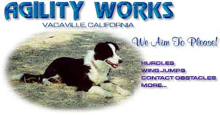 Agility Works Hurdles and More